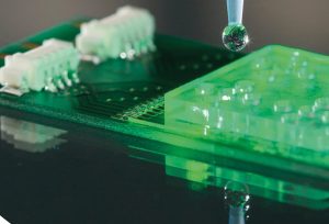 Broschüre Leibniz-Netzwerk Leibniz-Transfer